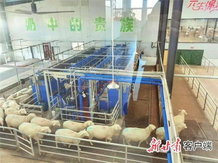 甘肃这项成果填补国内空白！